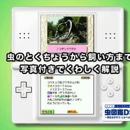 『クイズ&タッチけんさく虫図鑑DS』ムービー公開