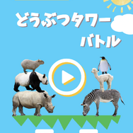 対戦型物理シュールパズル『どうぶつタワーバトル』が人気急上昇！一時は『ポケ森』を超す