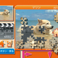 ジグソーパズル きょうのわんこ