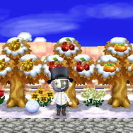 『どうぶつの森』と『ポケ森』は何が違うの？それぞれの特徴をまとめてみた