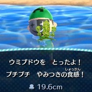 『どうぶつの森』と『ポケ森』は何が違うの？それぞれの特徴をまとめてみた