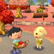 『どうぶつの森』と『ポケ森』は何が違うの？それぞれの特徴をまとめてみた