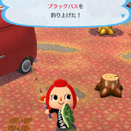 『ポケ森』クール勢のキャンプ場運営日記 ～レアな魚を求める孤高のヒラメ漁師～