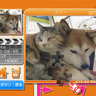 ジグソーパズル きょうのわんこ