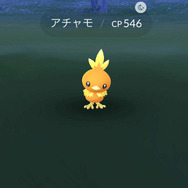 『ポケモンGO』にキモリ、アチャモ、ミズゴロウが！ ホウエン地方のポケモンたちが50匹以上も登場