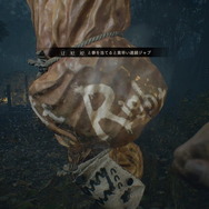 『バイオハザード7』DLC「End of Zoe」インプレ―ゾイを救うため、超肉体派主人公が立ち上がる