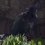 あの世界をVRで体験できる『人喰いの大鷲トリコ VR Demo』無料配信がスタート！ Best Hits版も発売開始