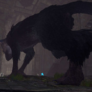 あの世界をVRで体験できる『人喰いの大鷲トリコ VR Demo』無料配信がスタート！ Best Hits版も発売開始