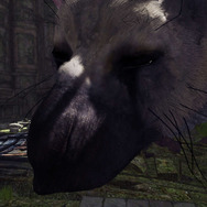 あの世界をVRで体験できる『人喰いの大鷲トリコ VR Demo』無料配信がスタート！ Best Hits版も発売開始