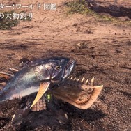 『モンスターハンター：ワールド』世界を覗く紹介動画「モンスターハンター：ワールド図鑑」の第四弾が公開！