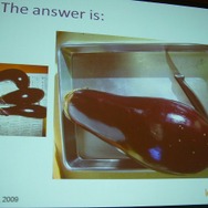 【GDC 2009】セガ、長谷川氏がローカライズのリスクとリターンについて話した