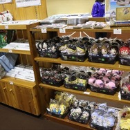 「グラブルフェス」大盛況！カジノや縁日、コスプレなど盛りだくさん【フォトレポート】