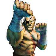 佐賀県がサガットとコラボ！「佐賀ット商店」が東京銀座にオープン決定