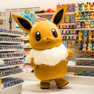 どのシチュが好み?「#イーブイとデートなうに使っていいよ」が開催中―抽選50名にしっぽクッション、内1名はイーブイが直接手渡し!