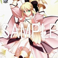 Fate/unlimited codes PORTABLE