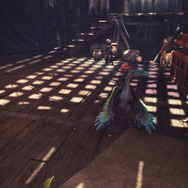 『モンハン：ワールド』マイハウスで眺めたい環境生物5選―最序盤でも捕獲できるかわいいやつら