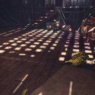 『モンハン：ワールド』マイハウスで眺めたい環境生物5選―最序盤でも捕獲できるかわいいやつら