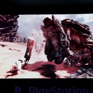 『モンハン：ワールド』、リュウとさくらのワンセット防具が手に入るクエスト配信決定！【UPDATE】