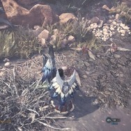 狩りがラクになる『モンハン：ワールド』全ハンターに知ってほしい10個の豆知識