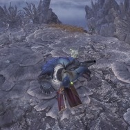 もっと快適狩猟ライフ！『モンハン：ワールド』嬉しい10個の豆知識―第2弾