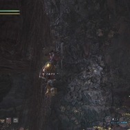 もっと快適狩猟ライフ！『モンハン：ワールド』嬉しい10個の豆知識―第2弾