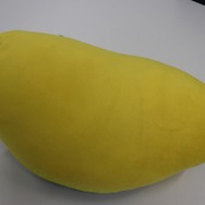 『パシャ★モン 』のAIはコスプレを見破れるのか？実証実験してみた【特集】