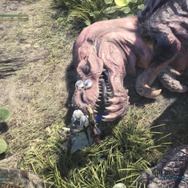 『モンハン：ワールド』モンスターの寝顔10選―意外とカワイイ…かも？