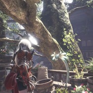 『モンハン：ワールド』マイハウスで眺めたい環境生物・第2弾―陸珊瑚＆瘴気の谷から5種をピックアップ