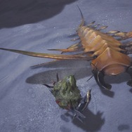 『モンハン：ワールド』マイハウスで眺めたい環境生物・第2弾―陸珊瑚＆瘴気の谷から5種をピックアップ