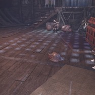 『モンハン：ワールド』マイハウスで眺めたい環境生物・第2弾―陸珊瑚＆瘴気の谷から5種をピックアップ