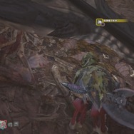 『モンハン：ワールド』マイハウスで眺めたい環境生物・第2弾―陸珊瑚＆瘴気の谷から5種をピックアップ