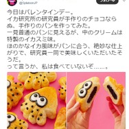 公式ツイッターより