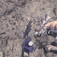 『モンハン：ワールド』モンスターの寝顔・第2弾―ジャグラスからランゴスタまで小型をピックアップ