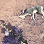 『モンハン：ワールド』モンスターの寝顔・第2弾―ジャグラスからランゴスタまで小型をピックアップ