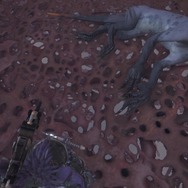 『モンハン：ワールド』モンスターの寝顔・第2弾―ジャグラスからランゴスタまで小型をピックアップ