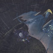 『モンハン：ワールド』モンスターの寝顔・第2弾―ジャグラスからランゴスタまで小型をピックアップ