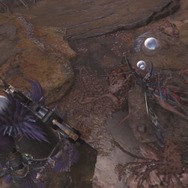 『モンハン：ワールド』モンスターの寝顔・第2弾―ジャグラスからランゴスタまで小型をピックアップ