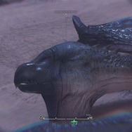 『モンハン：ワールド』モンスターの寝顔・第2弾―ジャグラスからランゴスタまで小型をピックアップ