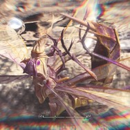 『モンハン：ワールド』モンスターの寝顔・第2弾―ジャグラスからランゴスタまで小型をピックアップ