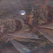 『モンハン：ワールド』モンスターの寝顔・第2弾―ジャグラスからランゴスタまで小型をピックアップ