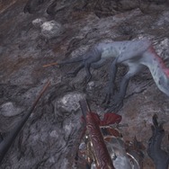 『モンハン：ワールド』モンスターの寝顔・第2弾―ジャグラスからランゴスタまで小型をピックアップ