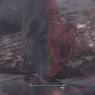 『モンハン：ワールド』モンスターの寝顔・第2弾―ジャグラスからランゴスタまで小型をピックアップ