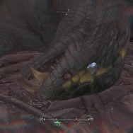 『モンハン：ワールド』モンスターの寝顔・第2弾―ジャグラスからランゴスタまで小型をピックアップ