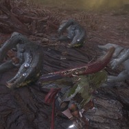 『モンハン：ワールド』モンスターの寝顔・第2弾―ジャグラスからランゴスタまで小型をピックアップ