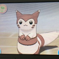 家族にしたいポケモン21選・前編!定番のポケモンから犬・猫系ポケモンも