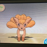家族にしたいポケモン21選・前編!定番のポケモンから犬・猫系ポケモンも