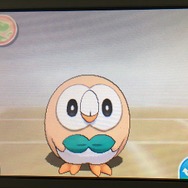 家族にしたいポケモン21選・前編!定番のポケモンから犬・猫系ポケモンも