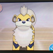 家族にしたいポケモン21選・前編!定番のポケモンから犬・猫系ポケモンも