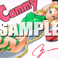 シリーズ30周年記念本「ストリートファイター メモリアル・アーカイブ Beyond the World」3月24日発売決定