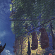 『モンハン：ワールド』拠点にいるアイルーたちを観察―2月22日は“猫の日”だニャ！